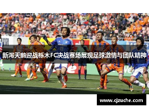 新泻天鹅迎战栎木FC决战赛场展现足球激情与团队精神