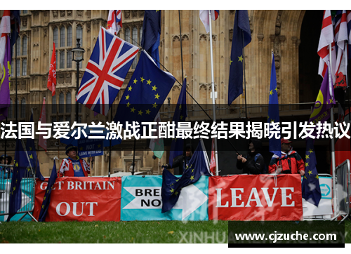 法国与爱尔兰激战正酣最终结果揭晓引发热议